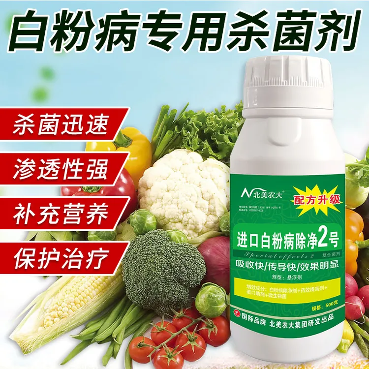 白粉病专用杀菌剂茄子黄瓜番茄花卉草莓白粉病防控微生物叶面肥