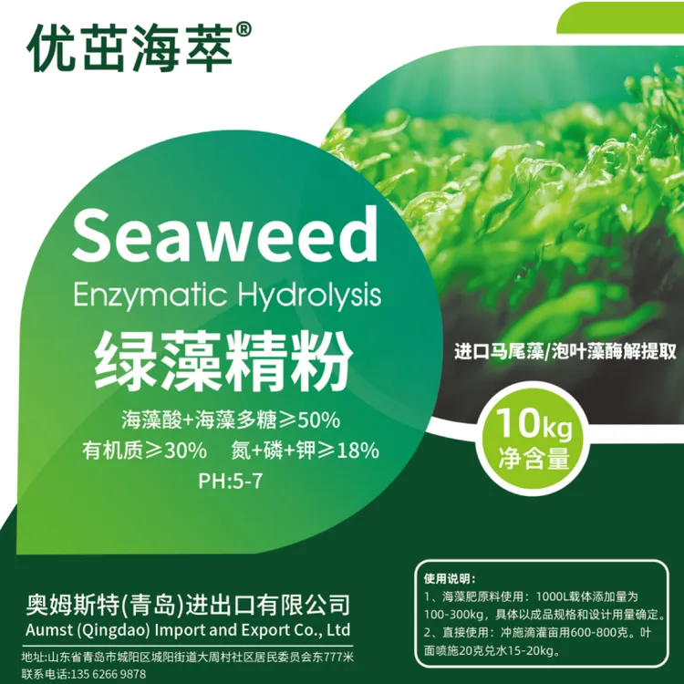 绿藻精粉 泡叶藻提取  海藻酸+海藻多糖50%