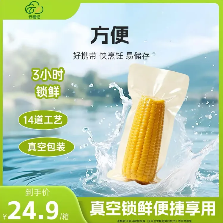 【黄大肉】云穗记黄糯玉米东北本土品种甜糯早餐食材夜宵270g-350g