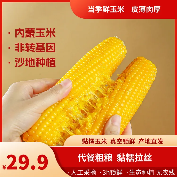 [涵涵专属]牧牛婶婶黄糯玉米 新鲜拉丝 独立包装 香甜软糯 代餐