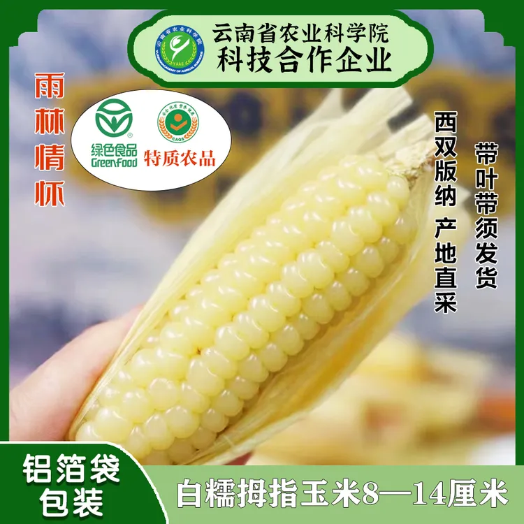 雨林情怀白糯拇指玉米特质农品新鲜带叶正宗真空手指玉米绿色食品