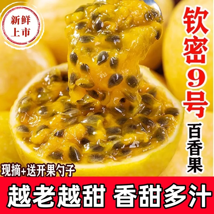 【正宗】钦蜜九号黄金百香果香甜多汁越老越甜新鲜采摘水果果园直发