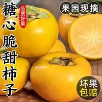 【买三斤送两斤】带箱五斤 新鲜水果采摘带皮吃不涩口巧克力脆柿子