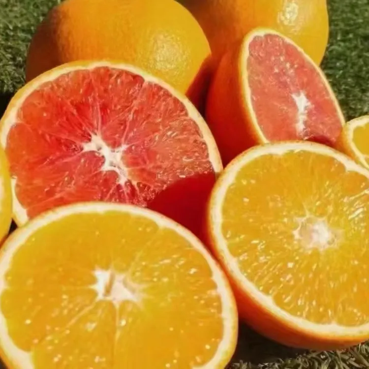 正宗赣南脐橙现摘现发坏果包赔产地直发无蜡无添加不催熟放心橙子