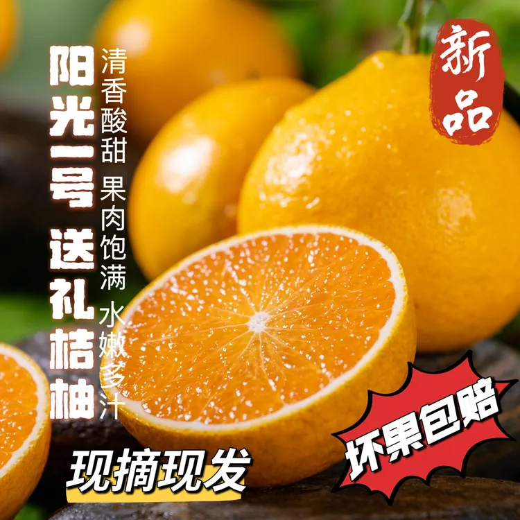 【普通礼盒装】阳光一号桔柚【新品上市】