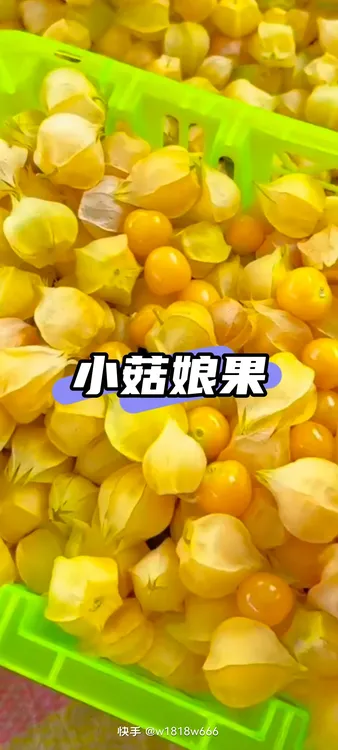 东北新鲜姑娘果灯笼果清甜多汁当季稀有水果