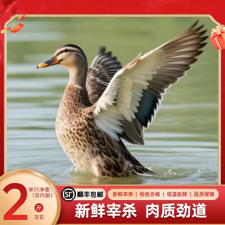 bozaijia洪湖老麻鸭 农家散养土鸭老鸭现杀整只鸦【拍一发三】