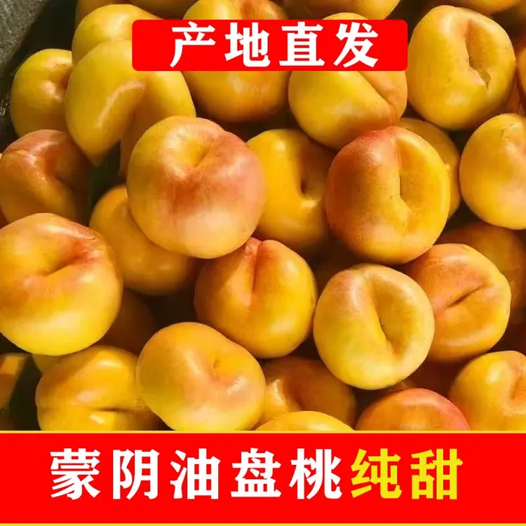 山东蒙阴彩虹油蟠桃新鲜现摘脆甜多汁应季水果露天桃脆软扁桃临沂