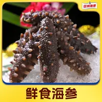 【丽丽专属】亚洲渔港 鲜食海参500g (9-11头)/袋
