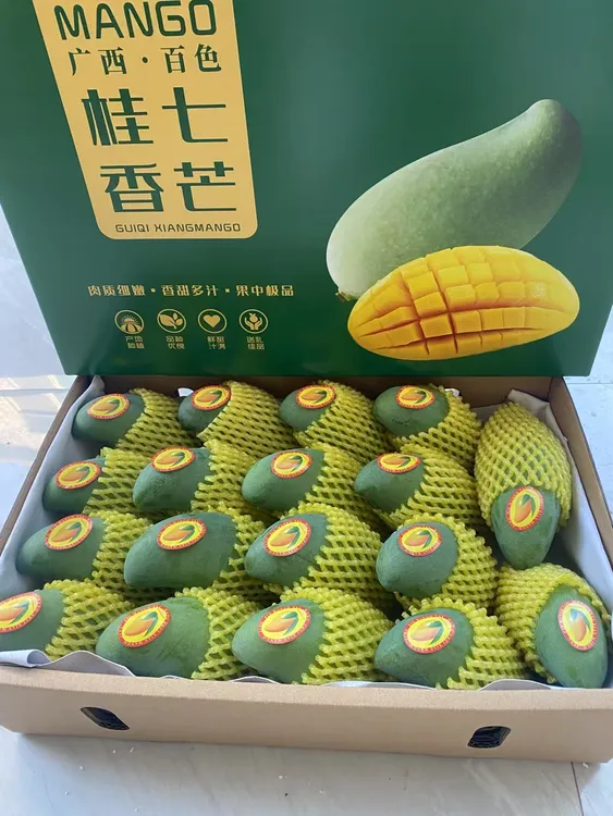 广西百色桂七芒果大果精品礼盒装