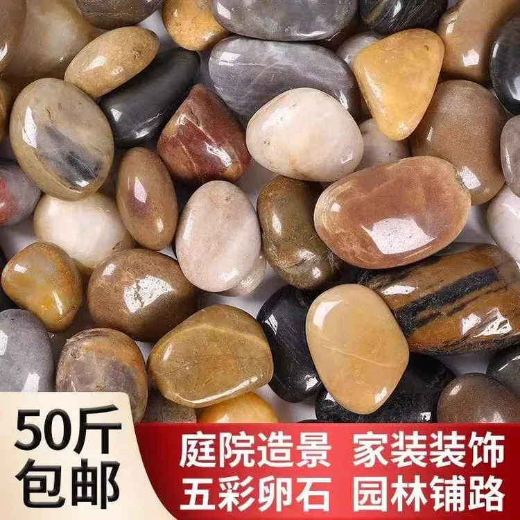鹅卵石养花五彩原石高抛光用于鱼缸园艺盆景装饰铺地庭院户外石子