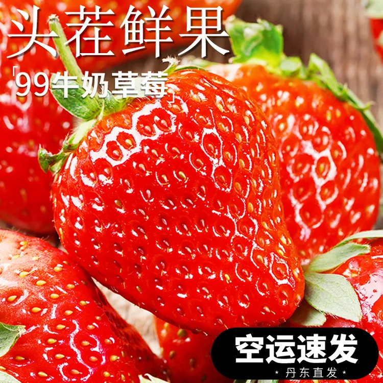 【保鲜空运】丹东99新鲜草莓当季头茬水果红颜奶油现货秒发应季香甜
