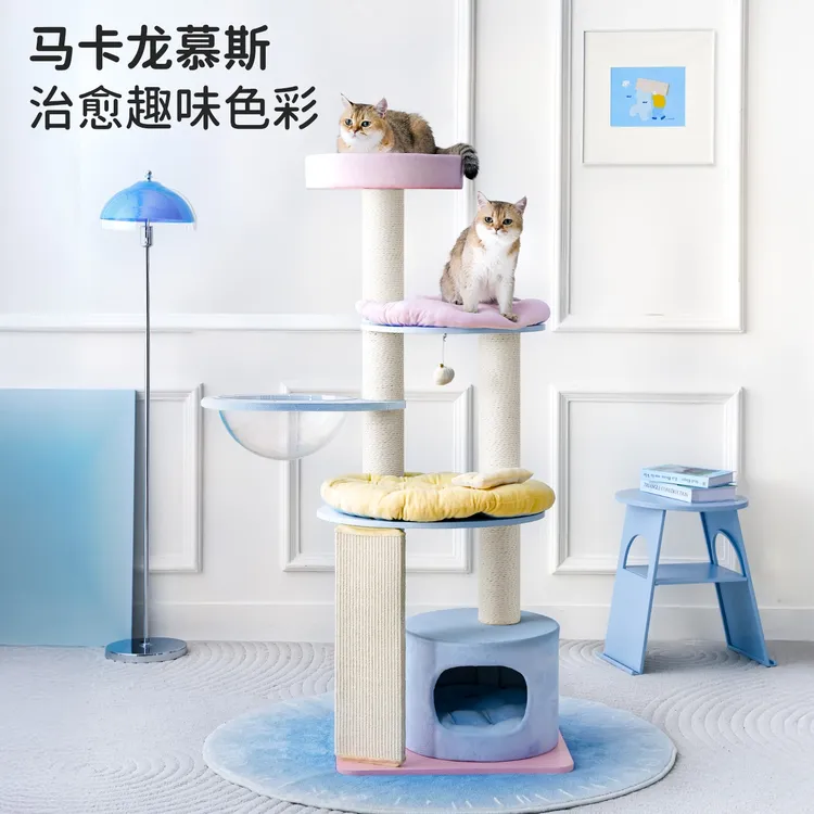【达人】兽牌慕斯猫爬架实木小户型不占地家用大猫专用猫架丨马卡龙商品图