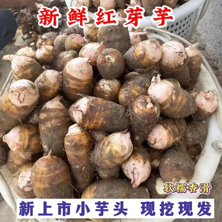 江西红芽芋头现挖红芽芋头仔农家自种红嘴小毛芋香芋奶软粘粉包邮