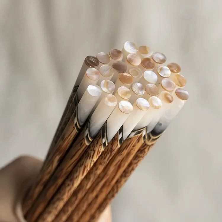 大木侠天然贝壳老椰木牛角筷子无漆无蜡防霉防滑精品10双装高档