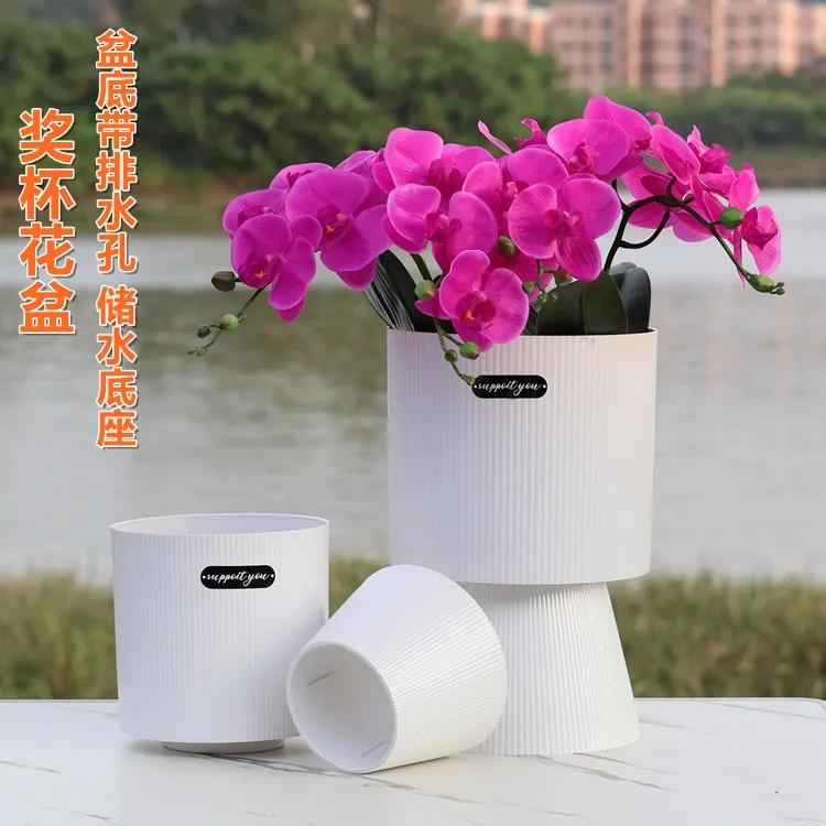 加厚奖杯盆2.5寸2.8寸兰花杯蝴蝶兰拼组花盆盆栽绿植种植仿陶瓷盆