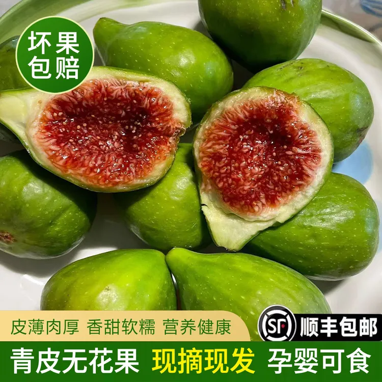 威海青皮无花果现摘现发顺丰空运新鲜应季树上熟水果