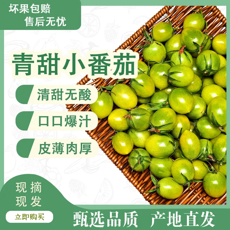 青甜2号小番茄产地直发好品质新鲜多汁水果小番茄爆汁超爽