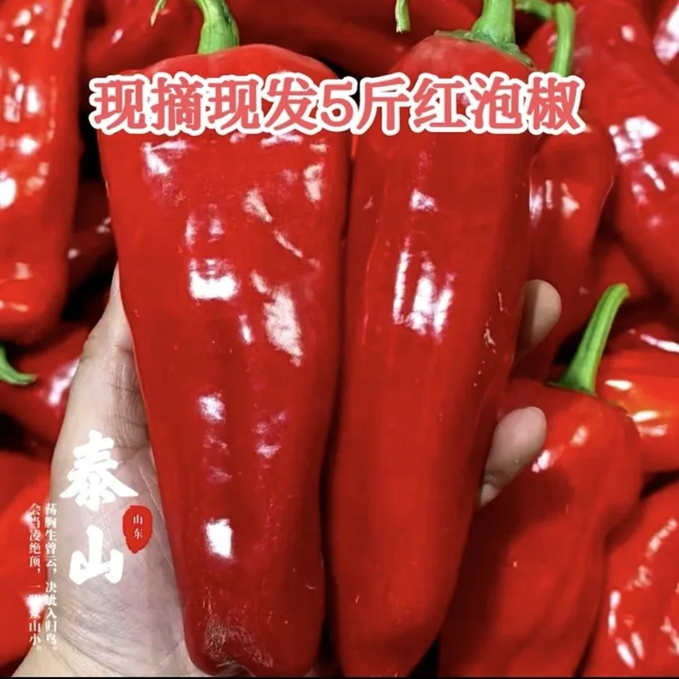 【现摘现发】新鲜红辣椒红尖椒大红泡椒微辣剁椒辣椒酱红色整箱