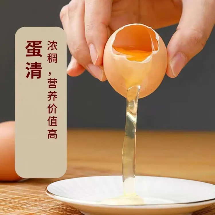 固始农家散养笨鸡蛋可生食鲜鸡蛋土鸡蛋生鲜无药物无激素
