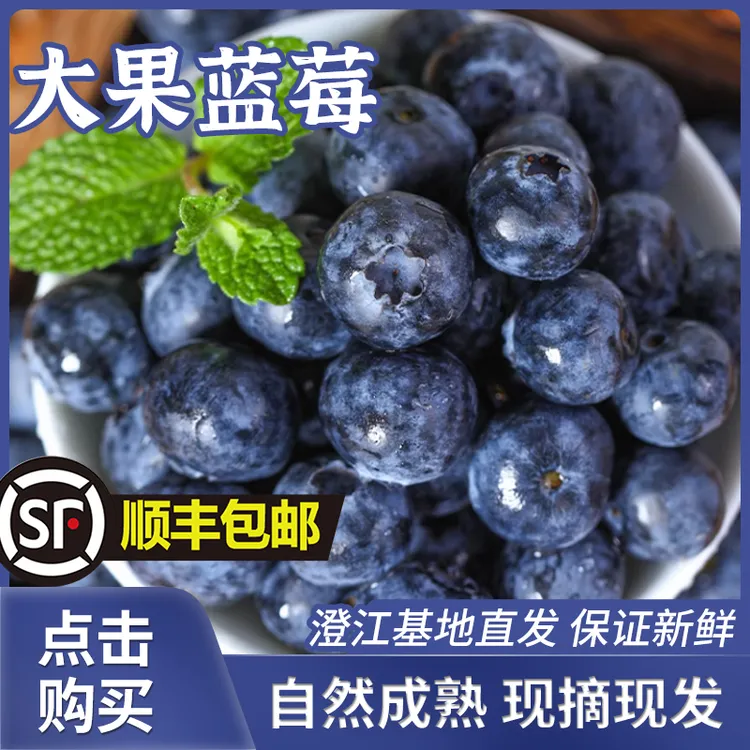 云南澄江花香蓝莓当季鲜果每日现摘饱满甜脆营养孕妇宝宝放心吃