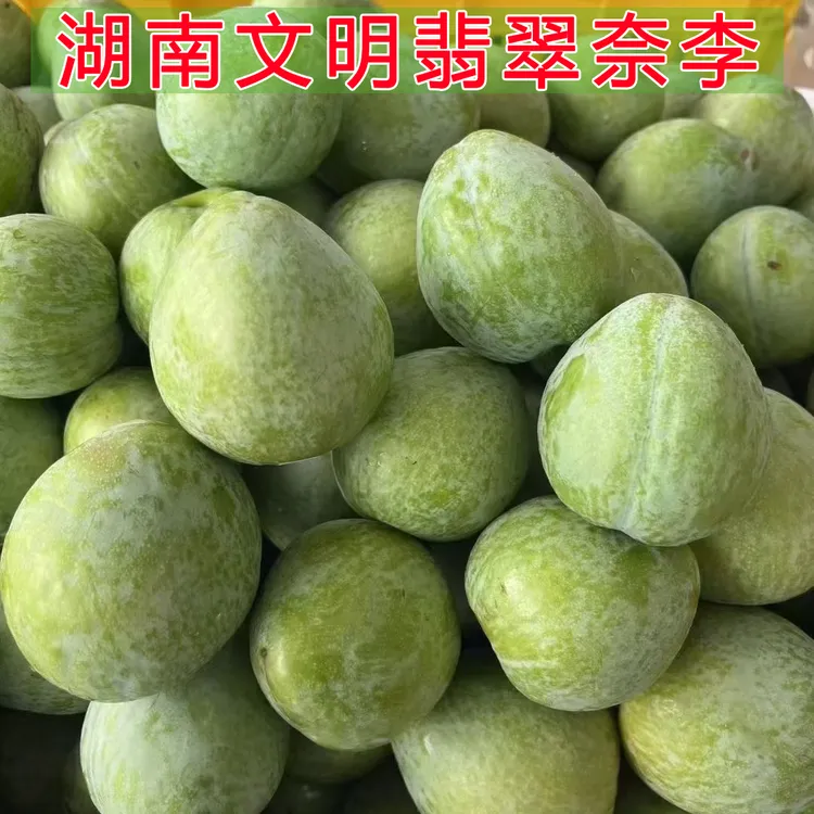 湖南汝城文明翡翠奈李脆甜多汁新鲜当季青脆奈李现摘现发孕妇水果