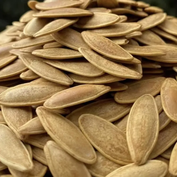 特大美人甲长粒南瓜子椒盐炒货饱满焦香酥脆好吃的坚果零食(散称)