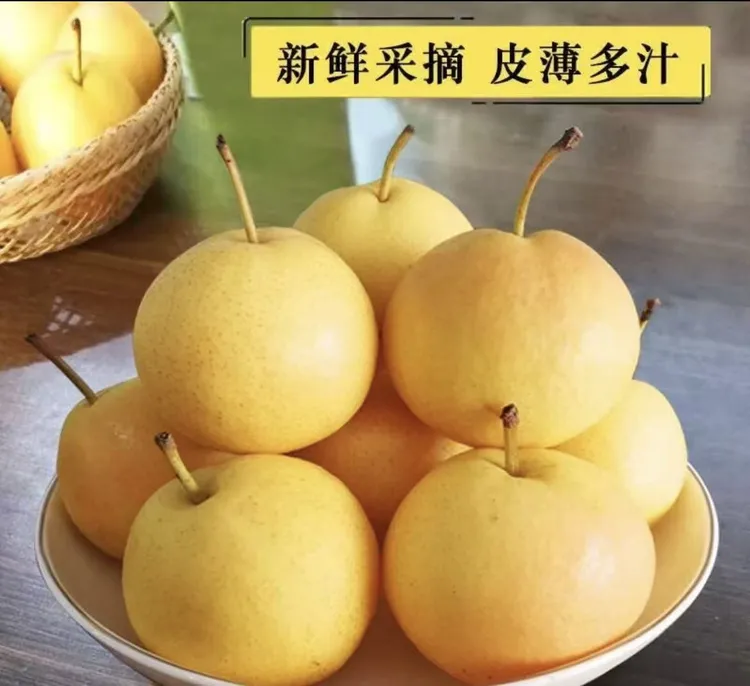 鞍山老品种南果梨精品放软吃口感佳孕妇水果
