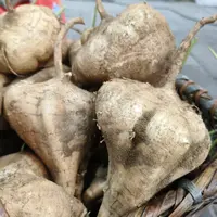 【地瓜】4斤 现挖包邮