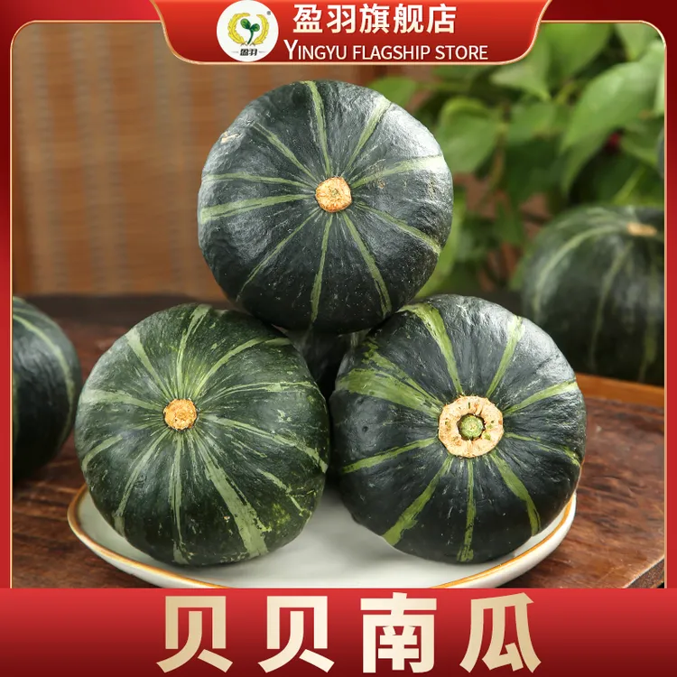 【盈羽】甘肃麻籽/盈羽/惠和贝贝南瓜5斤装