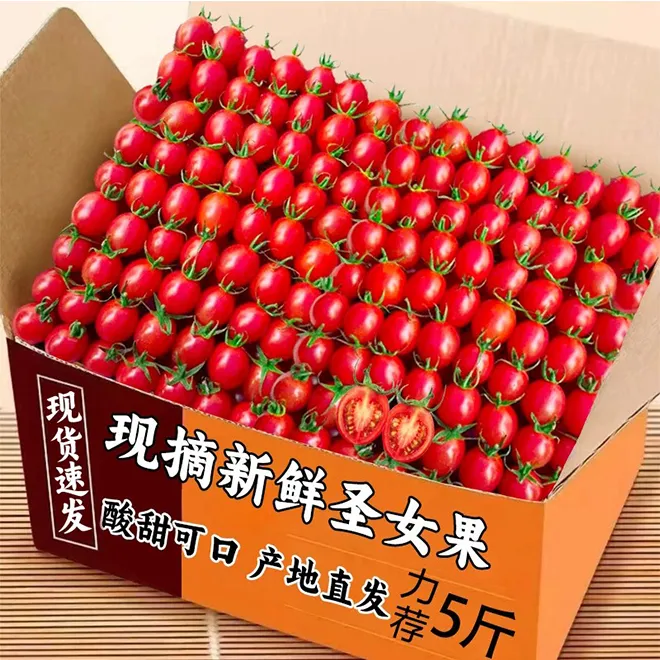 广西百色圣女果新鲜现摘小番茄酸甜可口生吃红果小西红柿樱桃番茄