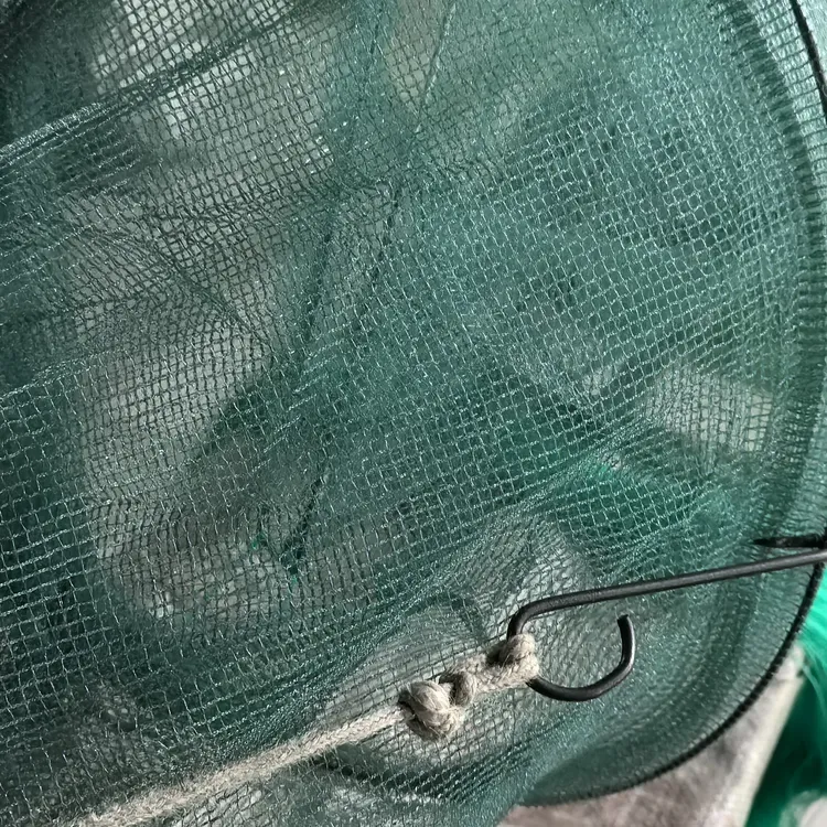 45*50上盖70大号地笼，抓鱼虾，24米17斤左右，5圈