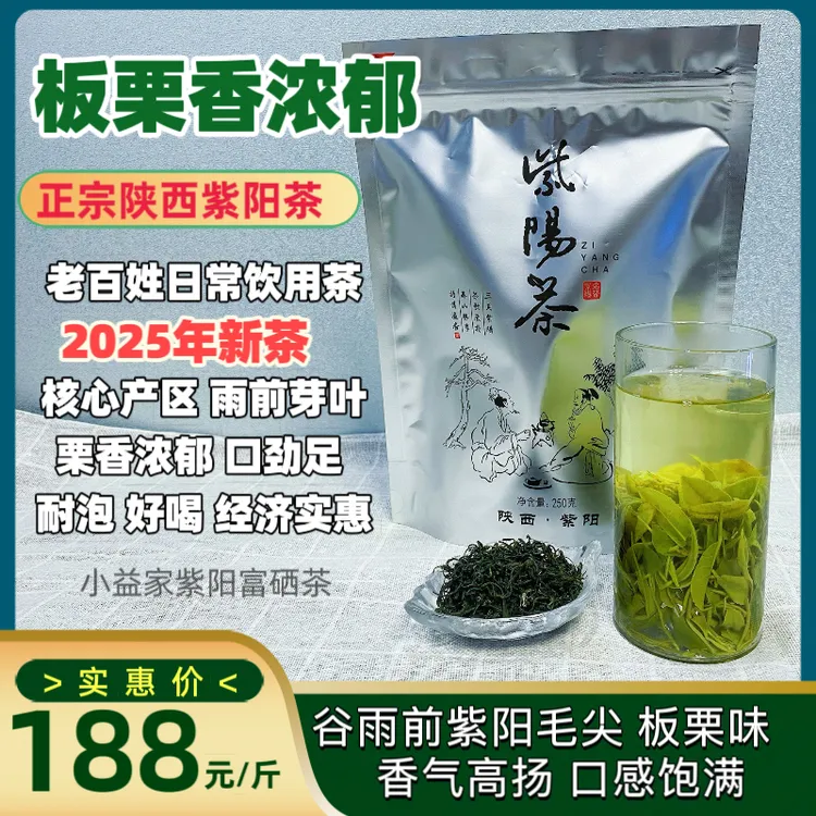 【口粮茶1斤】2025紫阳毛尖新茶谷雨前大芽叶板栗香口粮茶散茶称重