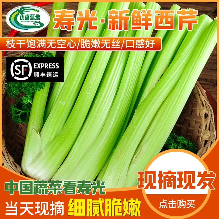 （顺丰包邮）水果西芹榨汁专用现摘现发清脆可口嘎嘣脆山东寿光芹菜