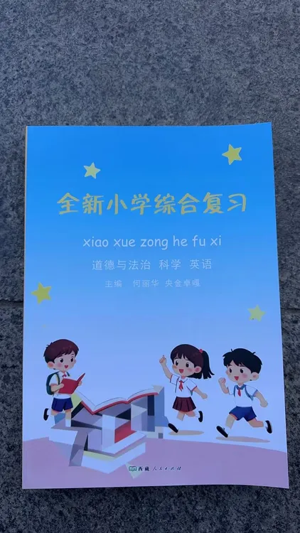 全新小学生综合总复习