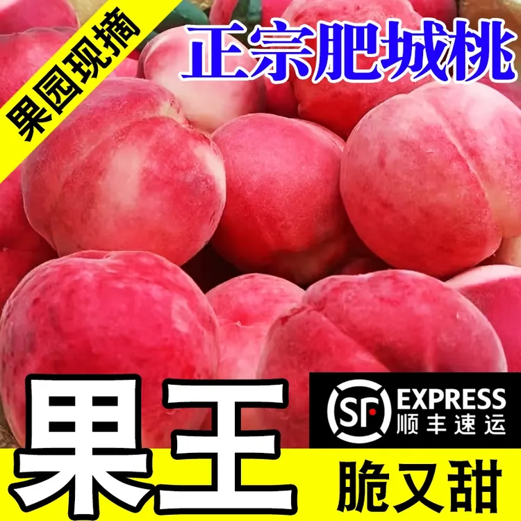 【顺丰鲜日达】正宗肥城桃水蜜桃肥桃6个装脆桃硬桃现摘现发超大果