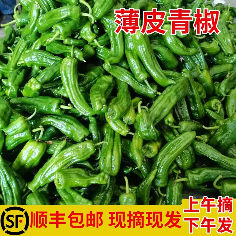 农家新鲜薄皮青椒微辣可做虎皮青椒嫩菜椒辣椒时令蔬菜