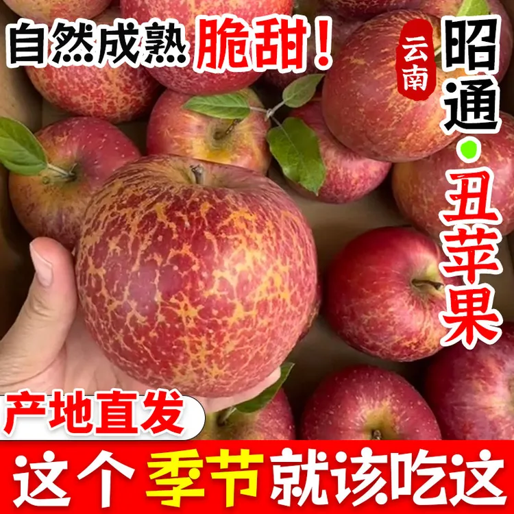 昭通苹果云南现摘当季孕妇水果净重3/5/9斤彩箱包装