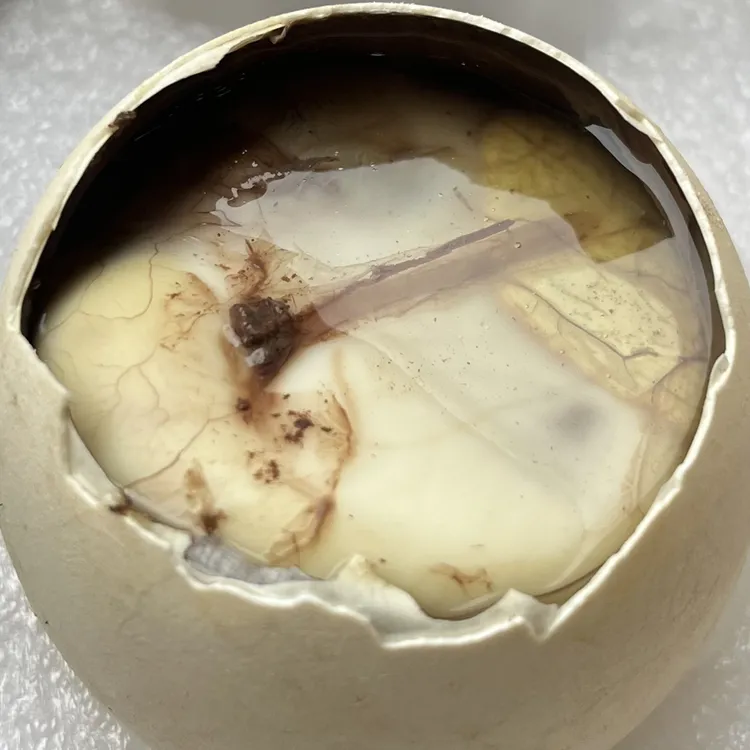 无为老家胎鹅蛋活珠子