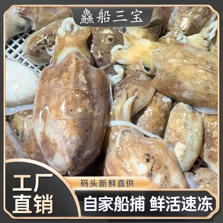 【渔三宝家】渔民自捞渤海湾墨鱼6斤 速冻顺丰发货
