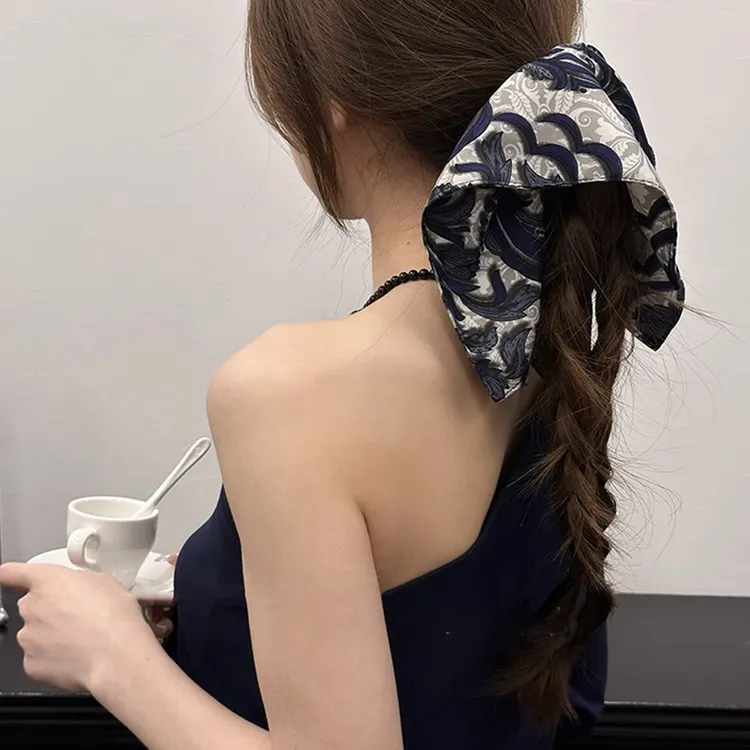 复古图腾印花大肠发圈女2025新款气质百搭头绳扎马尾发绳洋气头饰