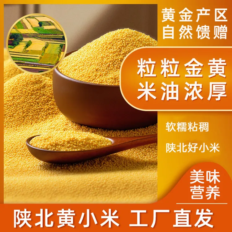 稻田丰禾陕北黄小米米脂醇厚高原农家小米熬粥营养杂粮香糯月子米
