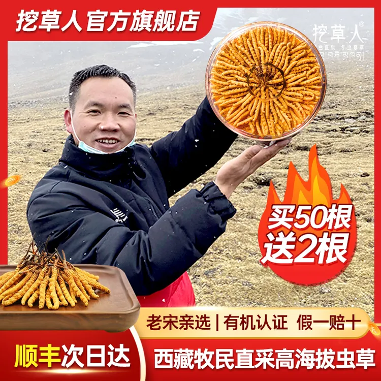 【头期野生干草】西藏高海拔产区虫草泡酒煲汤送礼