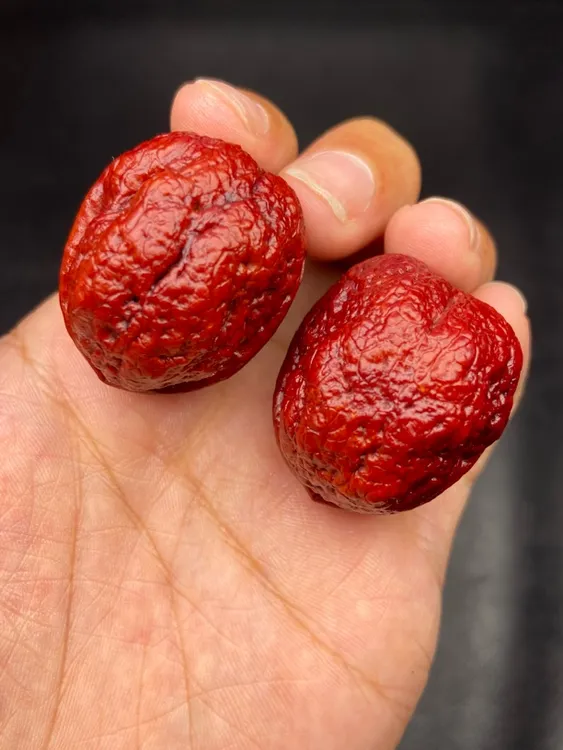 云南铁核桃 33-34尺红彩肌肉小青蛙发货图片同款随机一对