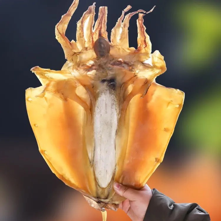 特大墨鱼干新鲜日晒营养丰富煲汤食用送礼佳品北海特产海鲜干货