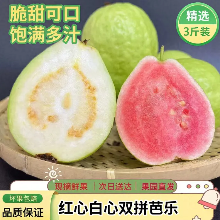 广东广州本地现摘红心白心芭乐番石榴爽脆软糯奶油芭乐