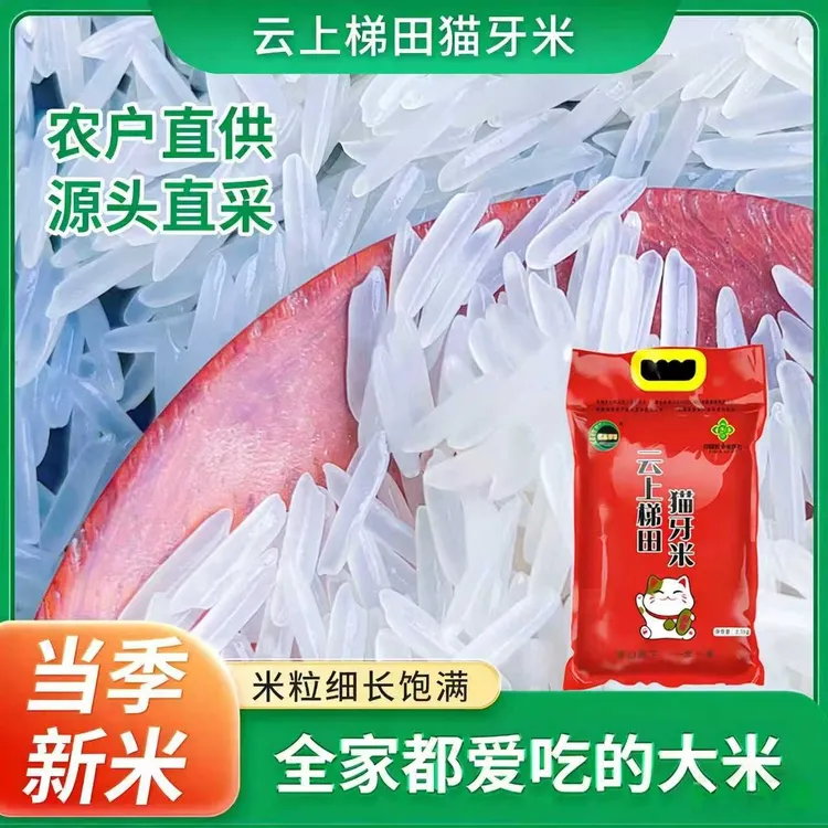 长粒猫牙米农家新米现磨现发孩子爱吃新鲜真空雾里稻香猫牙米