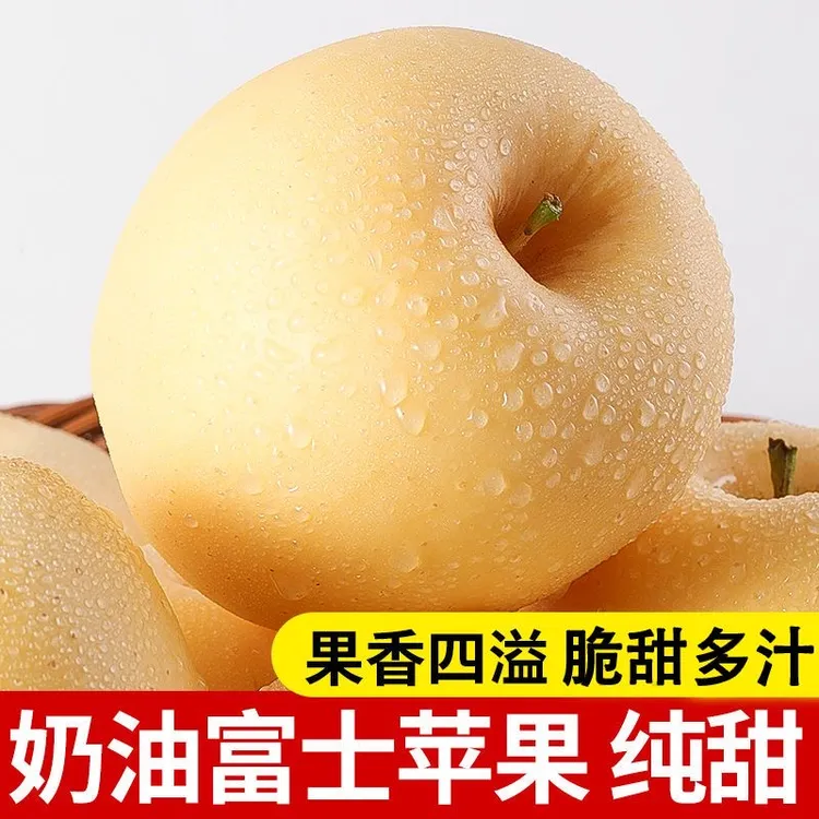山东烟台黄金奶油富士苹果4.5-5斤脆甜爽口多汁当季整箱果园直发