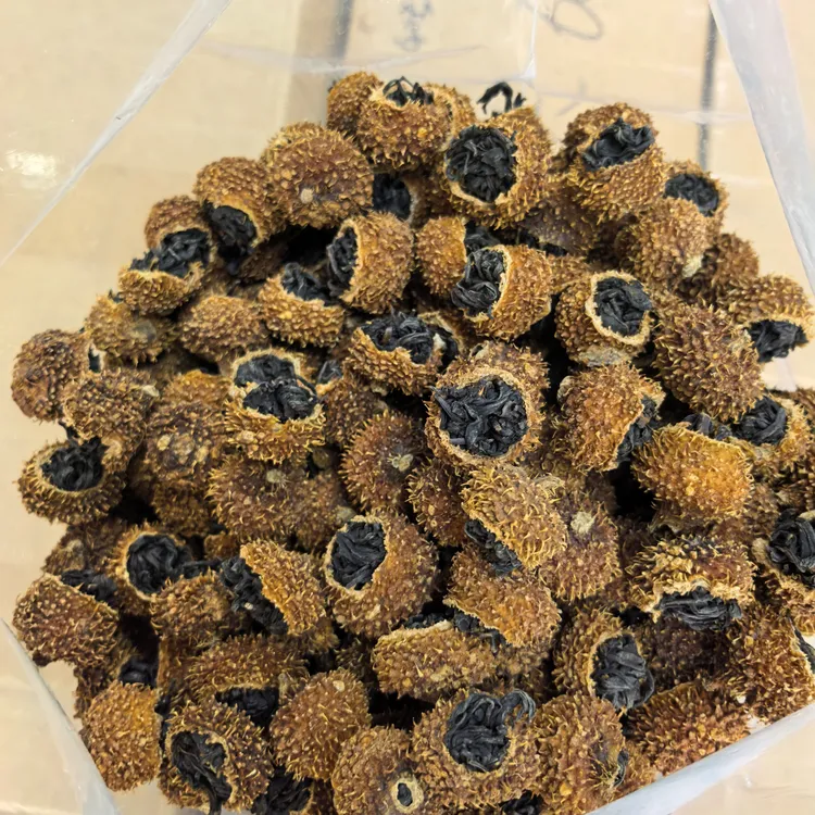 2025贵州刺梨红茶花果香维C红茶