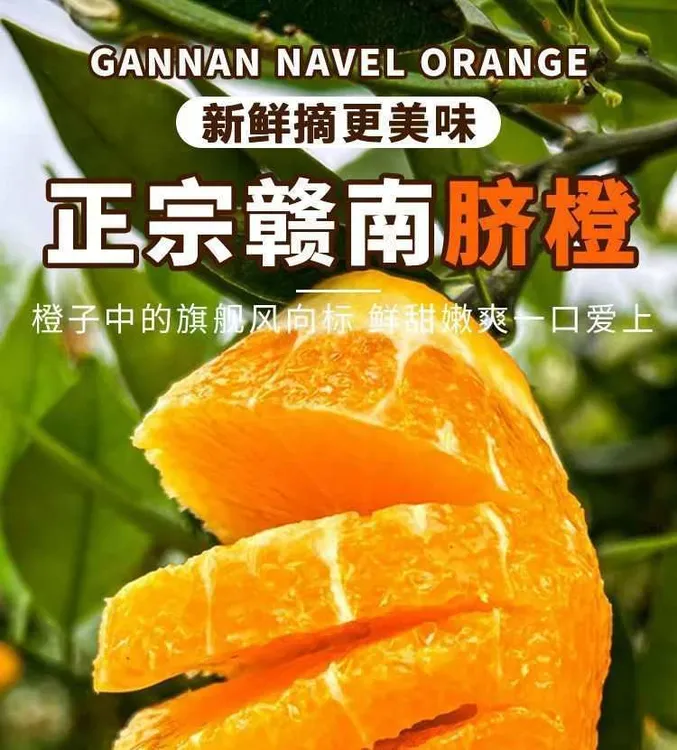 正宗江西赣南脐橙当季新鲜水果产地直发